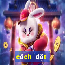 cách đặt cược ỏ 188bet