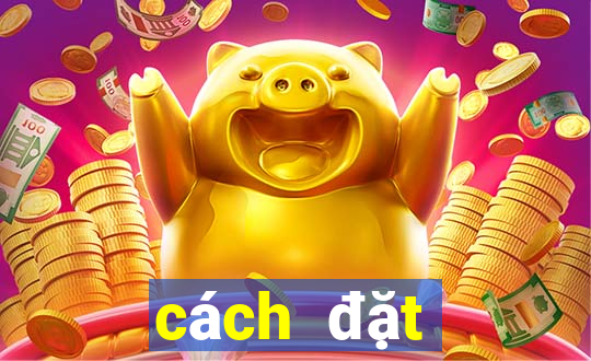 cách đặt cược ỏ 188bet