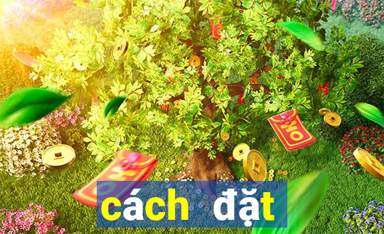 cách đặt cược ỏ 188bet