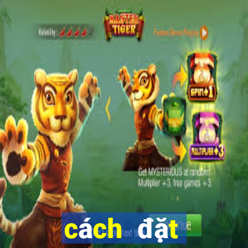 cách đặt cược ỏ 188bet