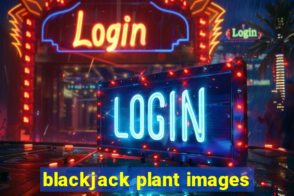 blackjack plant images