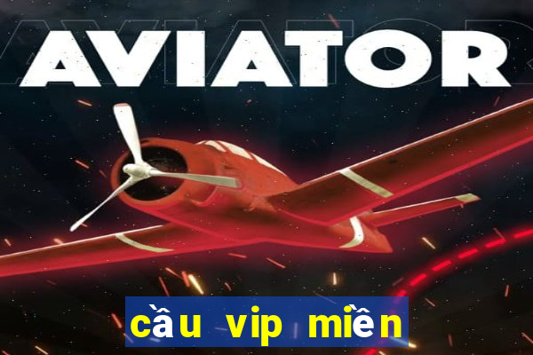 cầu vip miền bắc hôm nay