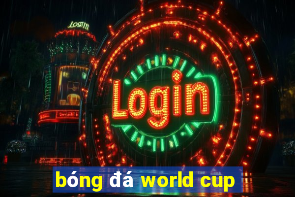 bóng đá world cup