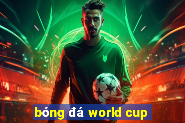 bóng đá world cup