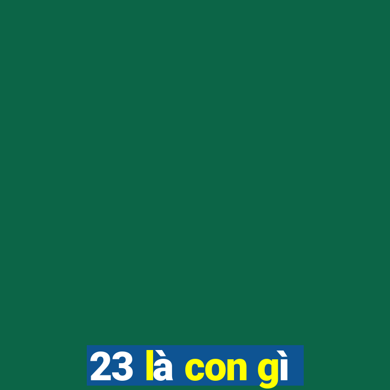 23 là con gì