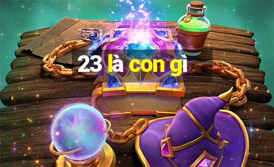 23 là con gì