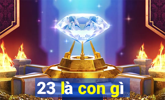 23 là con gì