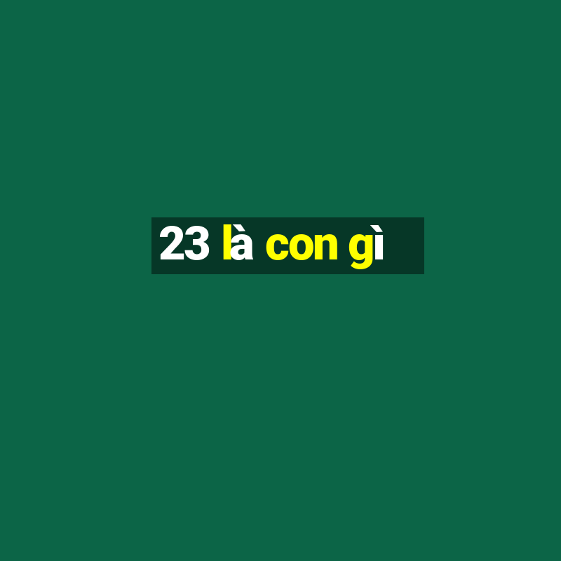 23 là con gì