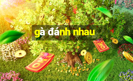 gà đánh nhau