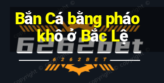 Bắn Cá bằng pháo khô ở Bắc Lệ