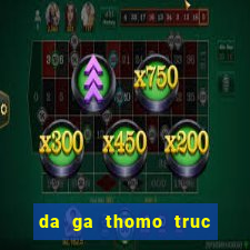 da ga thomo truc tiep 2024