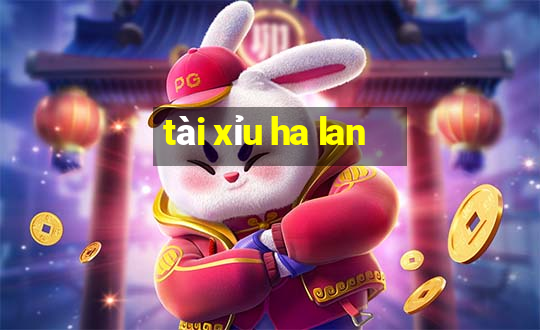 tài xỉu ha lan