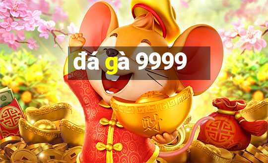 đá gà 9999