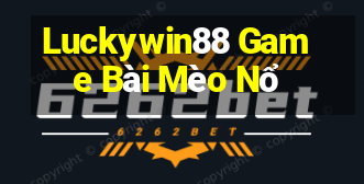 Luckywin88 Game Bài Mèo Nổ