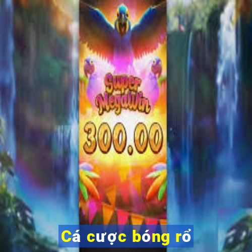 Cá cược bóng rổ