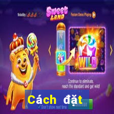 Cách đặt cược XSQNG ngày 29