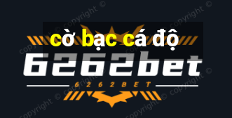 cờ bạc cá độ