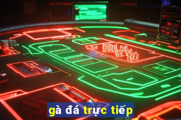 gà đá trực tiếp