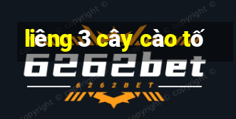 liêng 3 cây cào tố