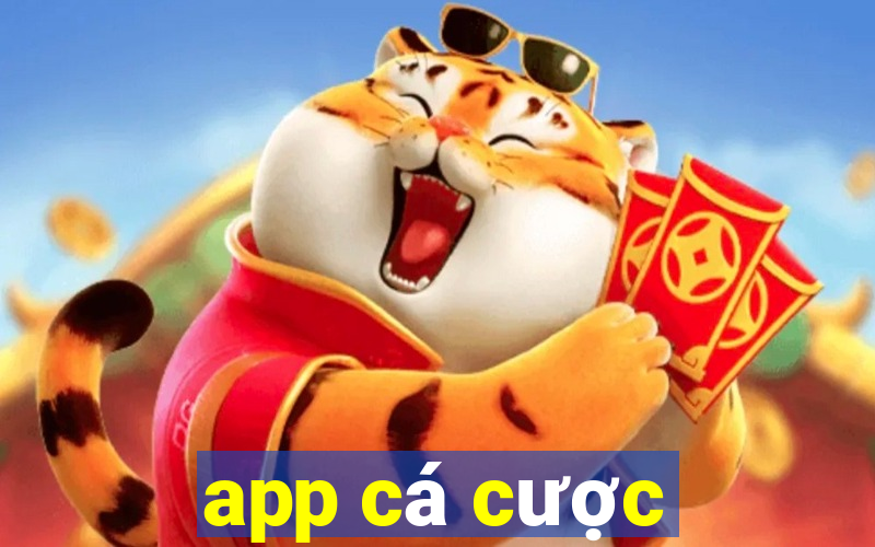 app cá cược