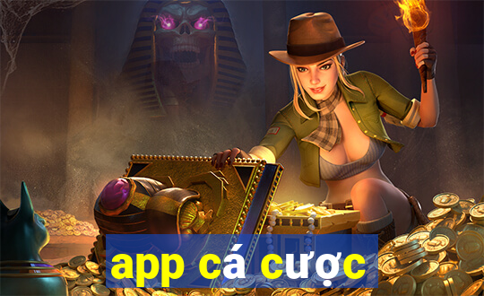 app cá cược