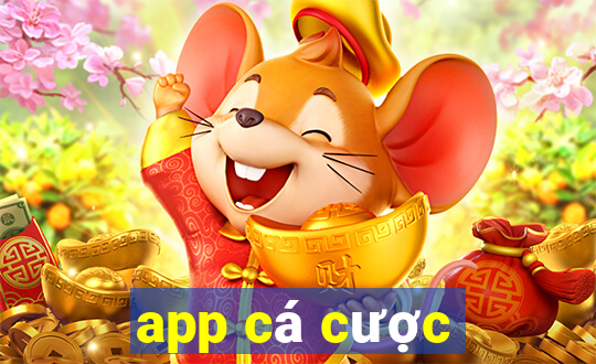 app cá cược