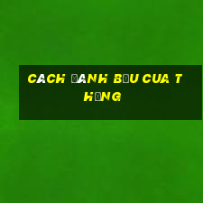 cách đánh bầu cua thắng