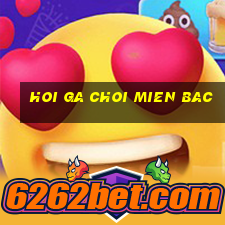 hoi ga choi mien bac