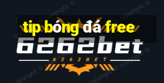 tip bóng đá free