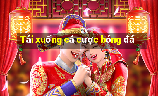 Tải xuống cá cược bóng đá