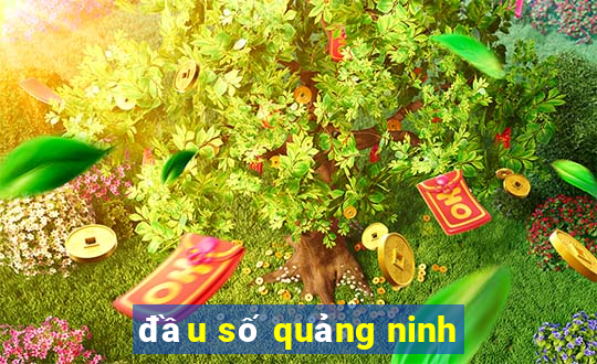 đầu số quảng ninh