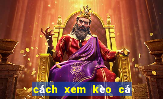 cách xem kèo cá độ bóng đá