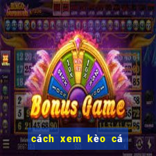 cách xem kèo cá độ bóng đá