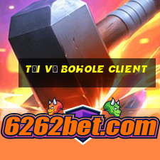 Tải về Bohole Client