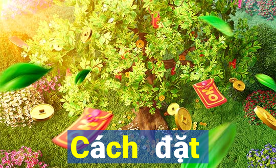 Cách đặt cược XSTTH Thứ 2