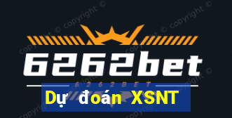 Dự đoán XSNT ngày 12