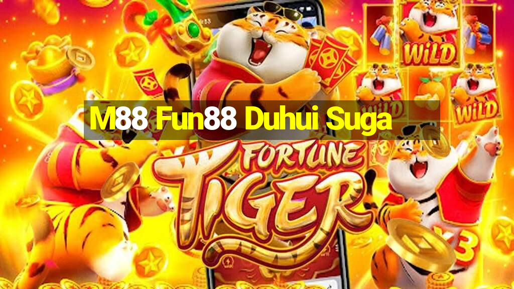 M88 Fun88 Duhui Suga