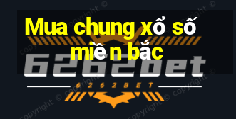 Mua chung xổ số miền bắc