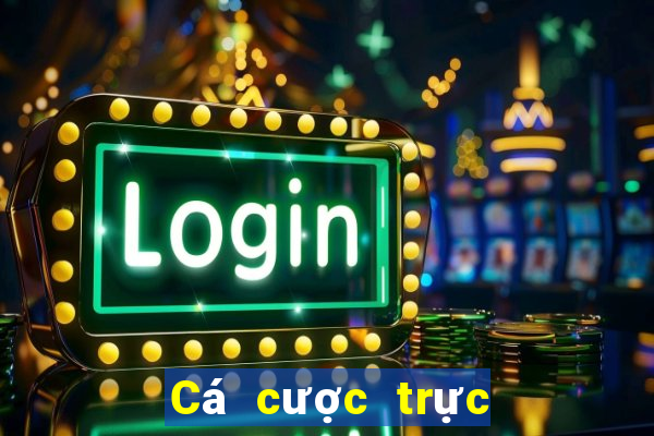 Cá cược trực tuyến maxvin