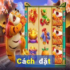 Cách đặt cược XSHG Thứ 4