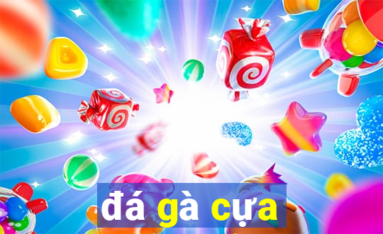 đá gà cựa