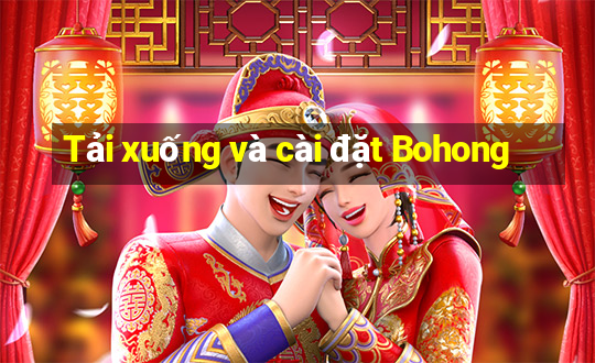 Tải xuống và cài đặt Bohong