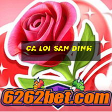 ca loi san dinh