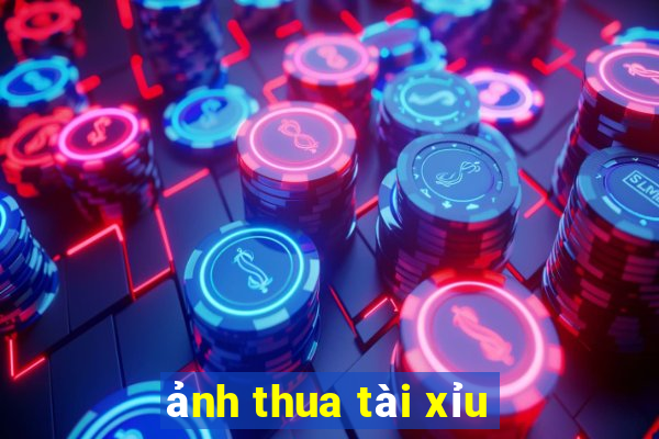 ảnh thua tài xỉu