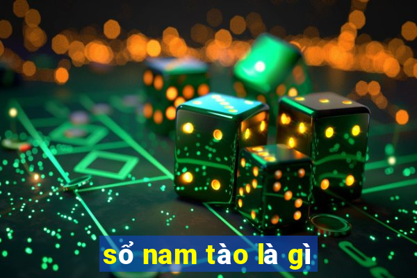 sổ nam tào là gì