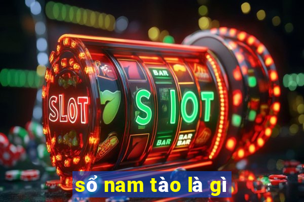 sổ nam tào là gì