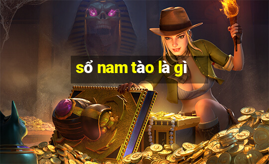 sổ nam tào là gì