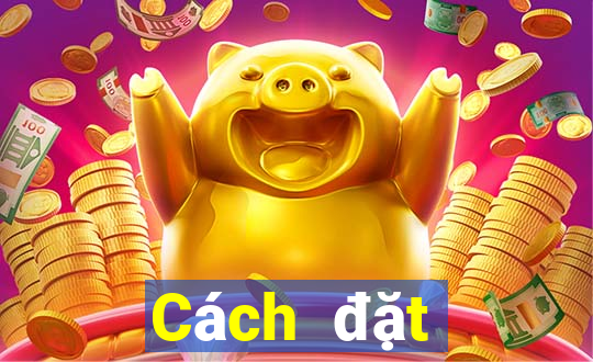 Cách đặt cược XSCM ngày 19