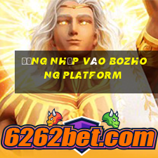 Đăng nhập vào Bozhong Platform