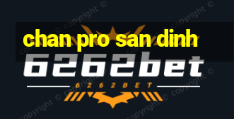 chan pro san dinh